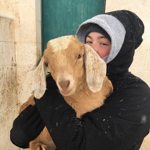 Meet your Posher, Pierce